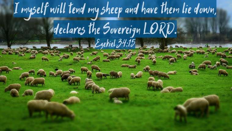 Niels van de Kasteele – I Am the LORD: The Good Shepherd