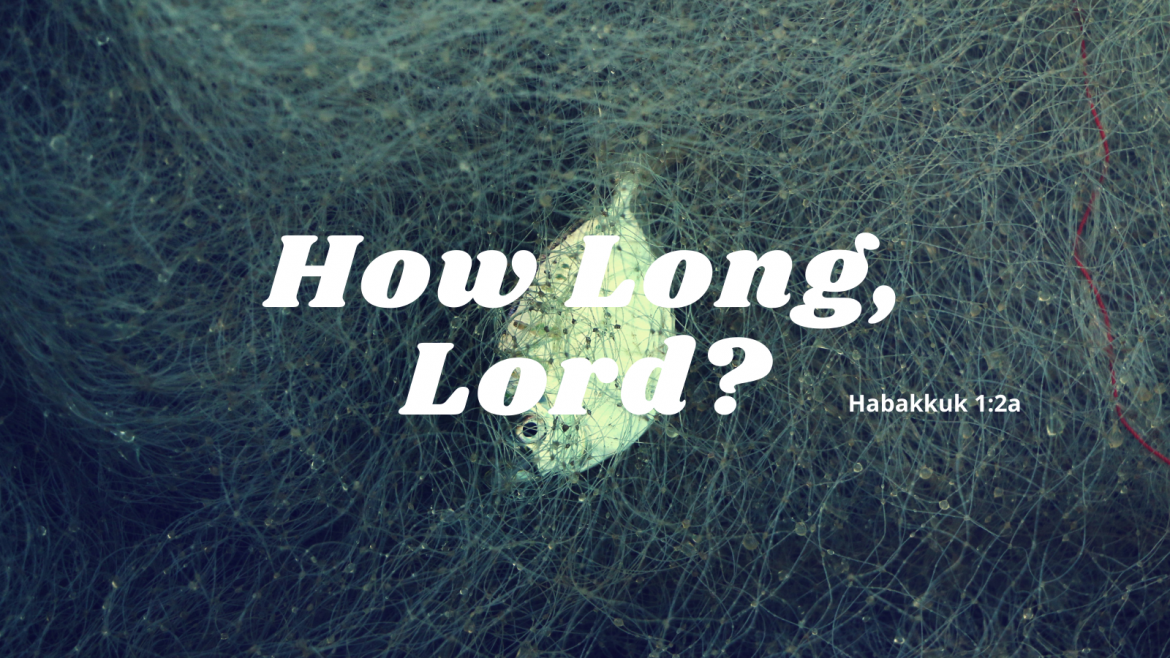 Heewoo Han – When Life Doesn’t Make Sense: How Long, Lord