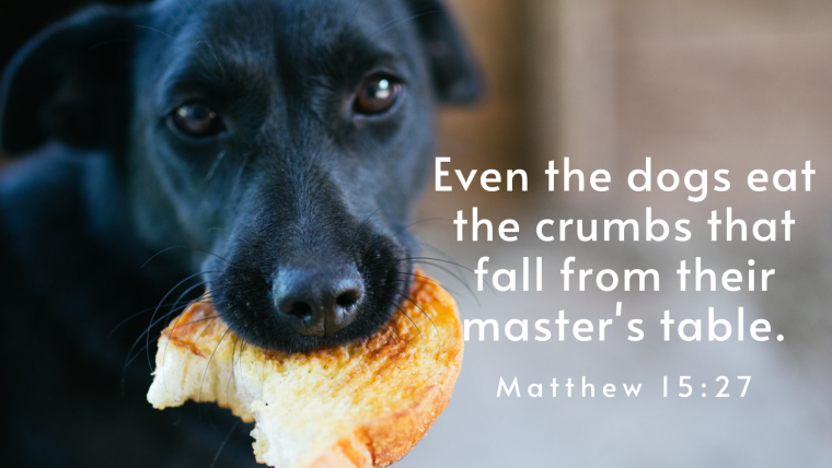 Matthew 15:21-39 – The King and I: Unclean Dogs?