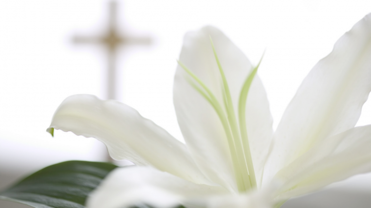 John 13:31-36, 21:15-19 – Easter: Follow Me!