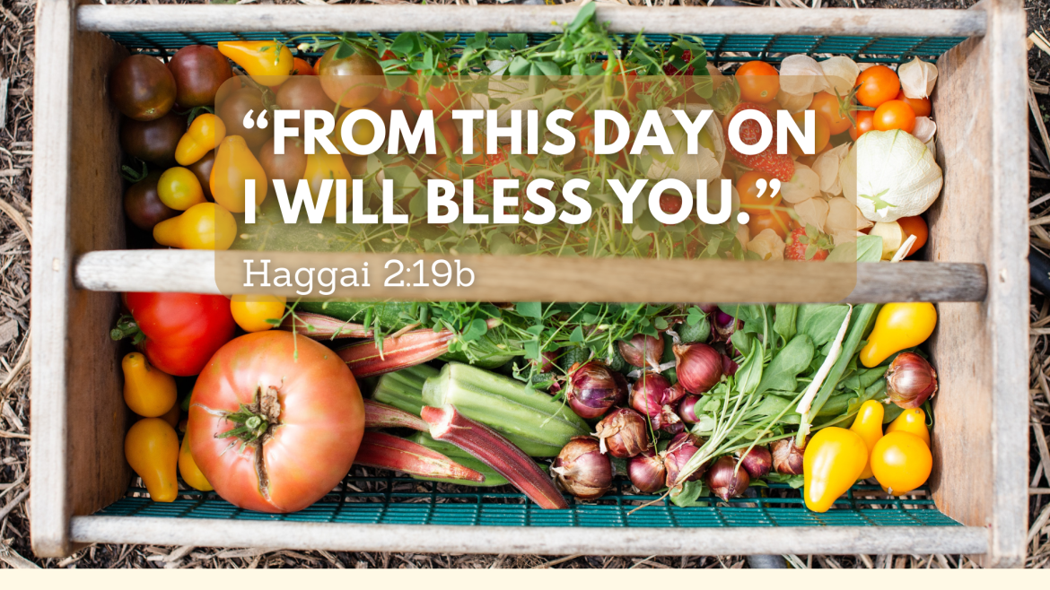 Haggai 2:10-23 – God’s Building Project