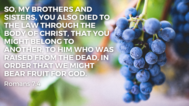 Romans 6:15-7:6 – Good News for All: Married to Christ