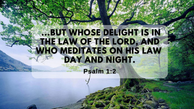 Psalm 1 – Resolutions: Steeped in God’s Story