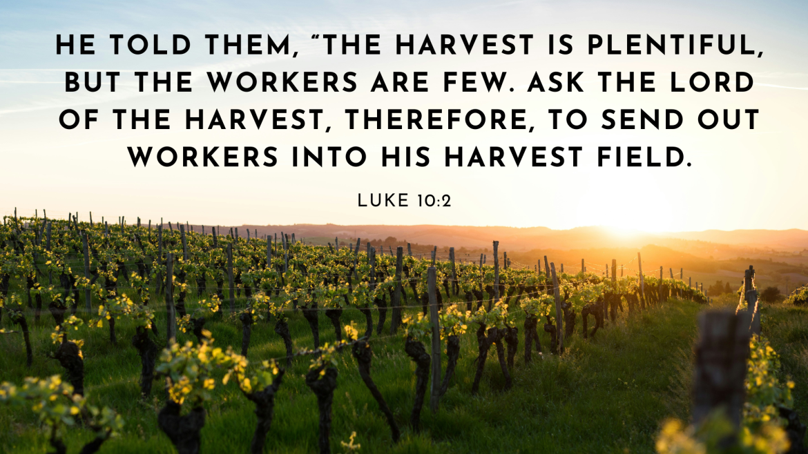 Luke 10:1-24  – On the Road: Messengers