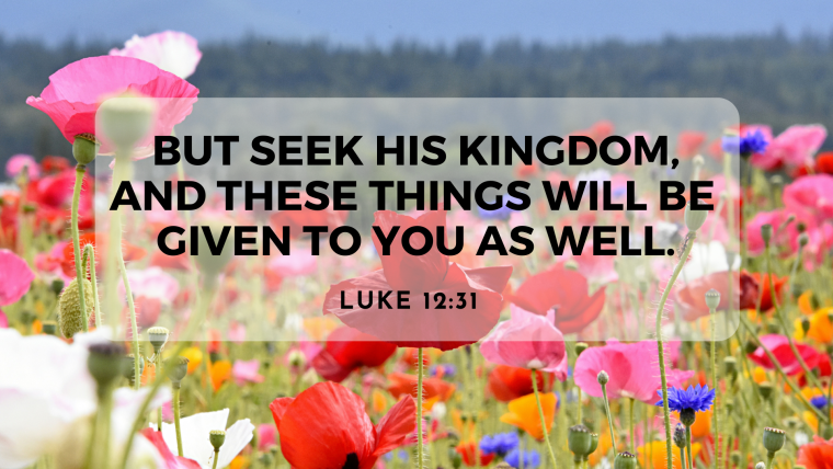 Luke 12:22-34  – On the Road: Ambition