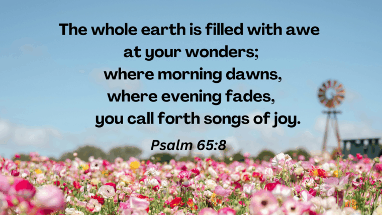 Psalm 65 – Praying the Psalms: Thanksgiving