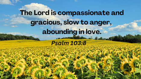 Psalm 103 – Praying the Psalms: Meditation