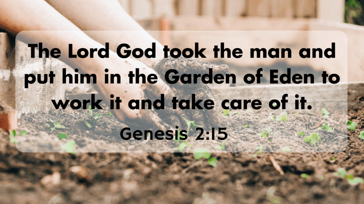 Genesis 1:26-28, 2:15-20 – Beginnings: Ruling the World