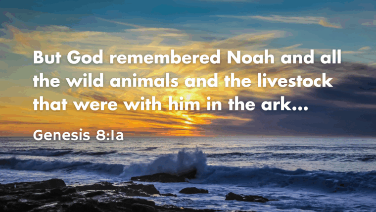 Genesis 6:5-22; 9:1-5, 20-23 – Beginnings: New Creation